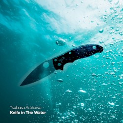 Knife in the Water