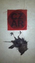 Demo: "Shark Cancer"