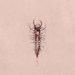 Сколопендра