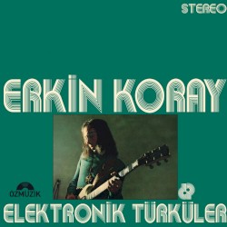 Elektronik Türküler
