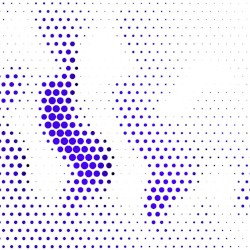 That Place 11: wim dehaen