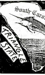 Triangle State Mental Zone