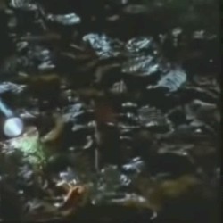 don’t be scared, it’s me