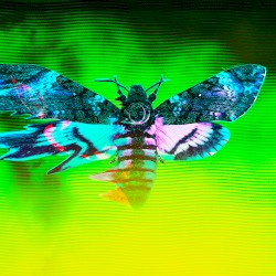 Dissection (Harbiter remix)