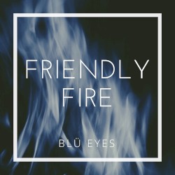 Friendly Fire
