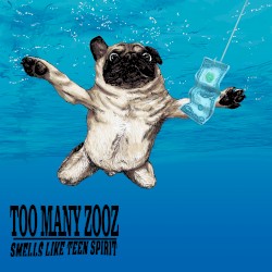 Smells Like Teen Spirit (instrumental)