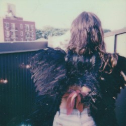 Can’t Help Falling in Love