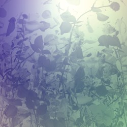 Like You Best / Shipwrecked