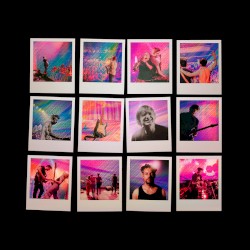 Red, White and Bruised: The Midnight Live