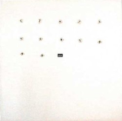 FatCat Split Series #12