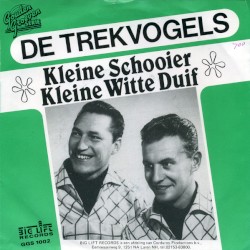 Kleine schooier / Kleine witte duif