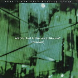 Are You Lost in the World Like Me (Remixes)