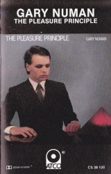 The Pleasure Principle