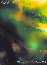 Whispers From the Noisy Void