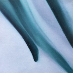 In Praise of the Plant