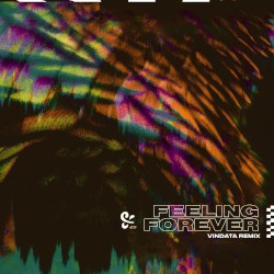 Feeling Forever (Vindata remix)