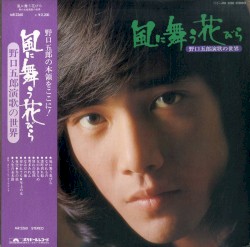 風に舞う花びら 野口五郎演歌の世界