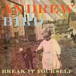 Break It Yourself