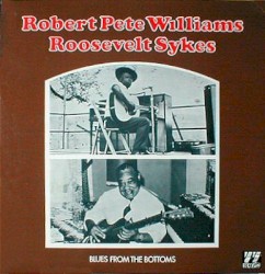 Blues From the Bottoms