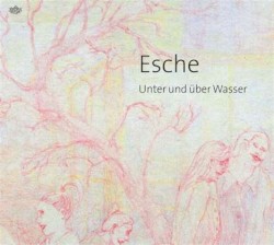 Unter und über Wasser