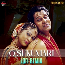 O Sukumari - Lofi Remix
