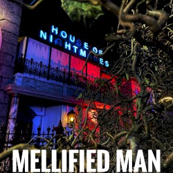 House of Nightmares