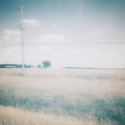 By Some Distance