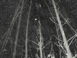 Under the Fullmoon Night