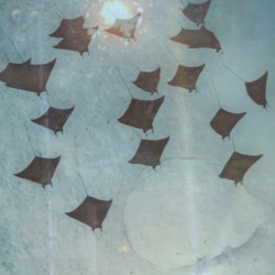 holding onto the thought that things might get better