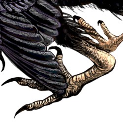 archaeopteryx ancient bird time dial prod the baobab tree