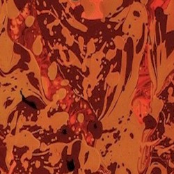 Lost Bones of the Holy Butterfly Revisted