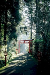 The Japanese Syllabary Drone