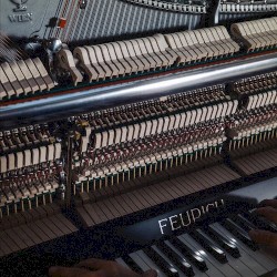 HAP LIVE SESSION (version acoustique)