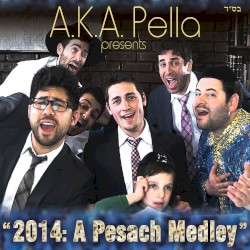“2014: A Pesach Medley”