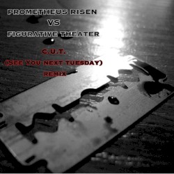 C.U.T (See You Next Tuesday) Remix