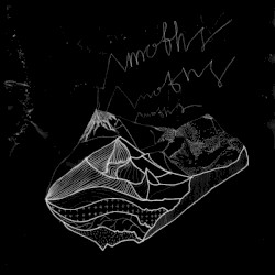 Moths / Gillian Carter