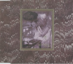 The Spangle Maker