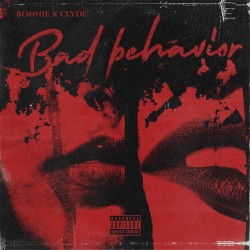 Bad Behavior