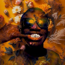 Happy Story, Sad Reality