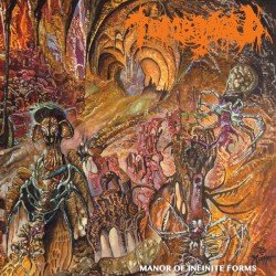 Manor of Infinite Forms