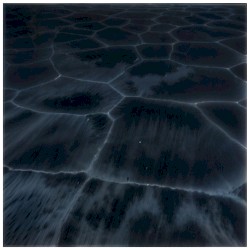 View From An Empty Lake