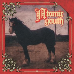 Sampson Was a Shire Horse