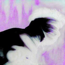Ultra Dante Technicolor
