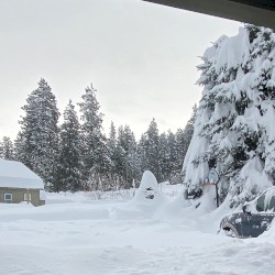 haiiii hiiii haiiiii hiiiii