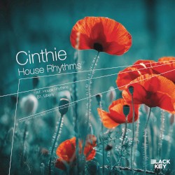 House Rhythms / Liberty