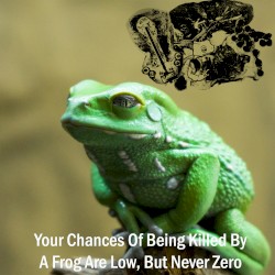 Your Chances of Being Killed by a Frog Are Low, but Never Zero