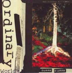 Ordinary World