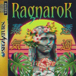 蒸気透過 [ VAPOR TRANSMISSION ]