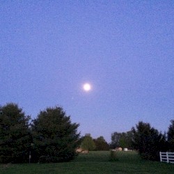 April 8th / Anticipation