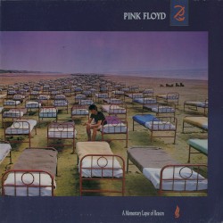 A Momentary Lapse of Reason